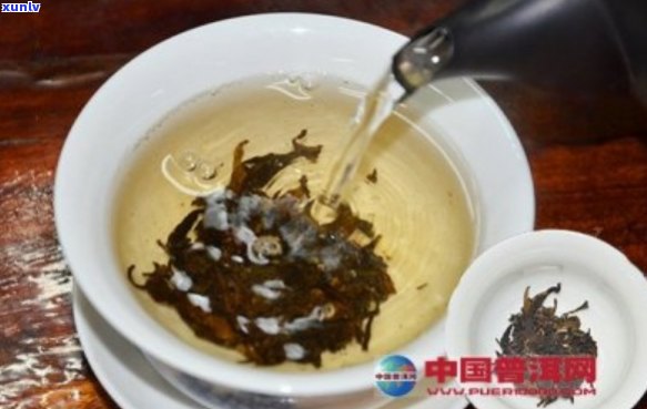 普洱茶中的酶：作用、种类及对健的益处