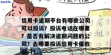 合肥市信用卡逾期举报 *** ：如何联系、相关政策及注意事项一网打尽