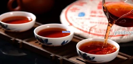 生普洱茶能做什么菜好吃：探索普洱茶在烹饪中的无限可能