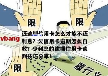 信用卡逾期还款危机：全方位自救指南与对策