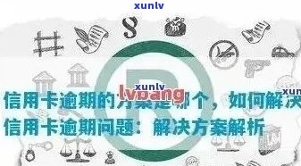 信用卡逾期还款危机：全方位自救指南与对策