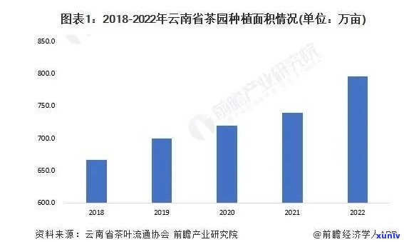 2023年云南普洱茶产量统计分析及相关市场需求预测