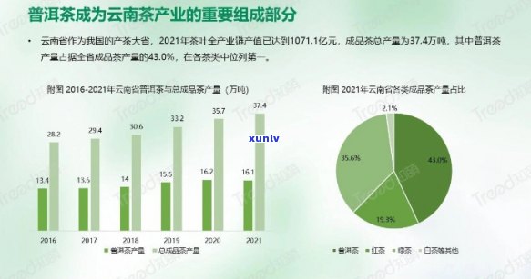 云南普洱茶2023年产量分析：市场供应、出口及消费者需求