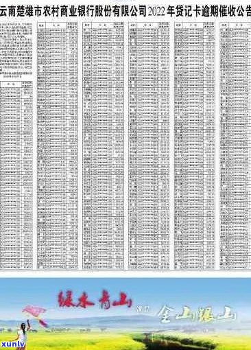 漾濞地区信用卡逾期未还款信息公示及查询