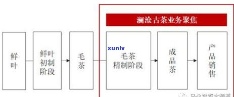 云南省普洱茶产业年产量及其对当地经济和环境的影响分析