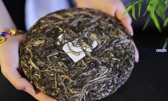 百度普洱茶：如何选择口感醇厚的好茶？