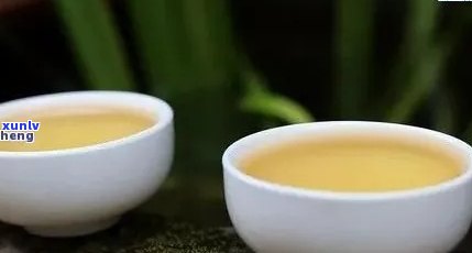 百度普洱茶：如何选择口感醇厚的好茶？