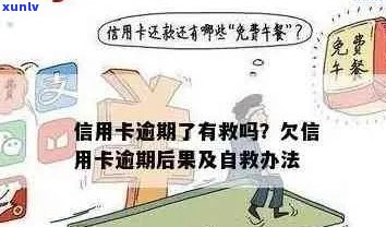 信用卡逾期还款5年经历4次，如何解决信用问题和避免类似情况再次发生？