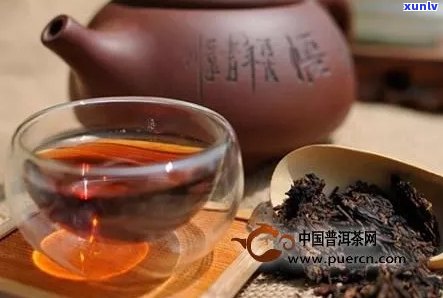 '很浓的普洱茶好不好喝？普洱茶浓了好不好？'