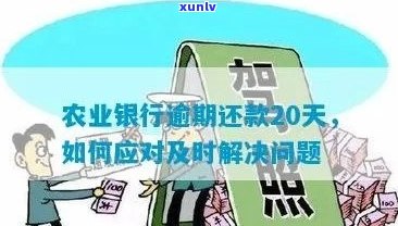 农行信用卡逾期还款指南：如何应对、解决 *** 及后果分析