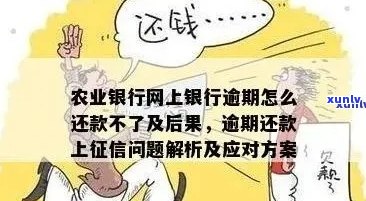 农行信用卡逾期还款指南：如何应对、解决 *** 及后果分析