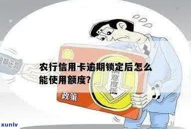 农行信用卡逾期提额度