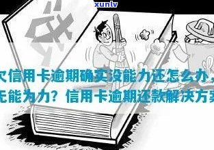 信用卡逾期后被冻结，无经济能力偿还的解决策略