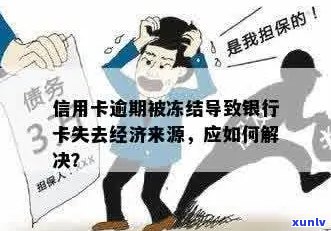 信用卡逾期后被冻结，无经济能力偿还的解决策略