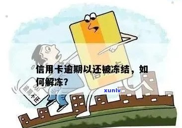 信用卡被冻结未逾期的解决办法：常见原因与应对策略