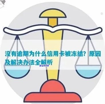 信用卡被冻结未逾期的解决办法：常见原因与应对策略