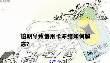 信用卡被冻结，没有逾期的情况下如何解冻？了解详细步骤和解决 *** 