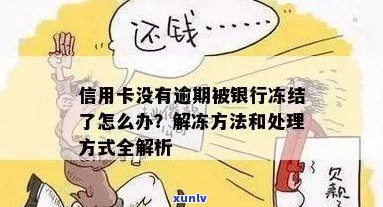 信用卡被冻结，没有逾期的情况下如何解冻？了解详细步骤和解决 *** 