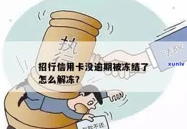 没逾期信用卡被冻结