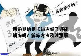 信用卡被冻结，没有逾期的情况下如何解冻？了解详细步骤和解决 *** 