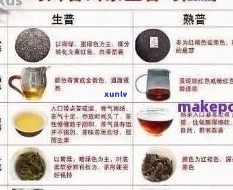 普洱茶的存与品鉴：不止十五年，如何选择合适的陈年普洱？