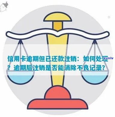 新信用卡逾期未还款导致被注销，如何应对处理？