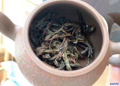 加工普洱茶饼胶吗