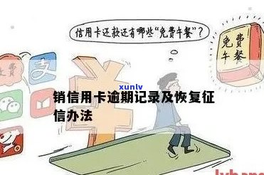 逾期后注销信用卡，如何恢复：完整指南