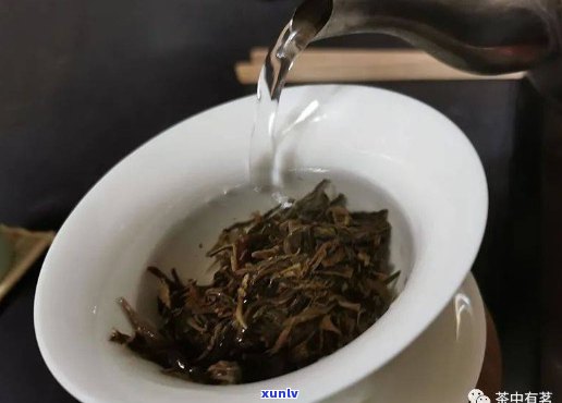 普洱茶泡法：多少度的水最合适？