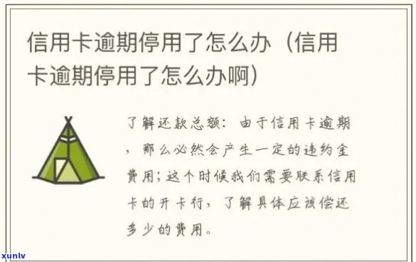 浦发信用卡逾期后被锁定，如何重新激活并继续使用？