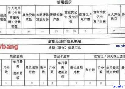 信用卡逾期报告的详尽指南：步骤、影响与解决方案