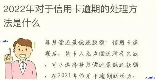 如何办理逾期证明：详细步骤与注意事项，解答您的所有疑问