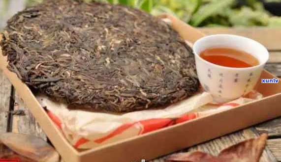 孕期普洱茶饮用安全性：早孕期可以喝普洱茶吗？