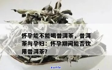 孕初期饮茶注意事项：普洱茶是否适合孕妇饮用？