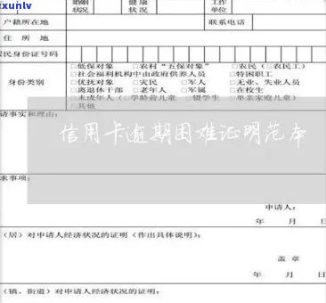 开具信用卡逾期证明范文