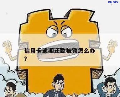 信用卡逾期被锁住查询账单困难解决 *** 