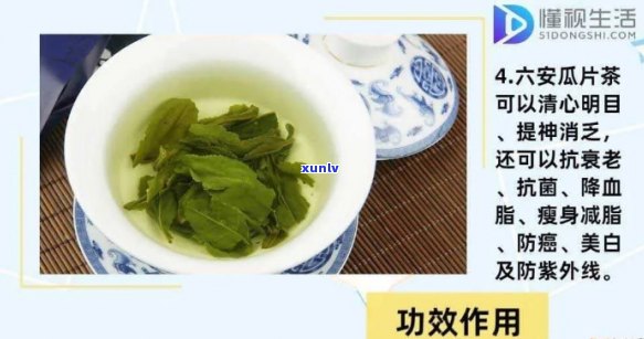 六安瓜片茶的独特之处及其与其他茶叶种类的比较分析