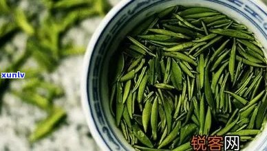 六安瓜片与六安茶区别：六安瓜片是绿茶还是红茶？属于什么茶类？