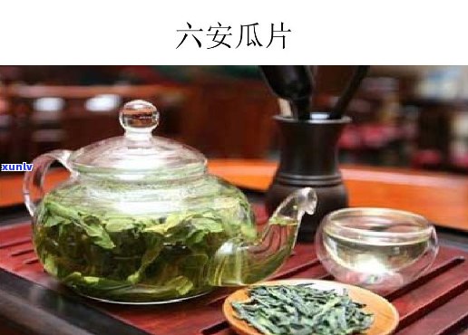 六安瓜片vs普洱茶