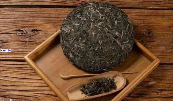 饼状普洱茶的品饮技巧：如何正确欣与饮用这款特色茶饮？