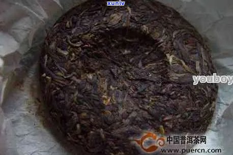 饼状的普洱茶怎么吃