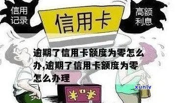 信用卡额度逾期为零，我该怎么办？这里有解决方案！