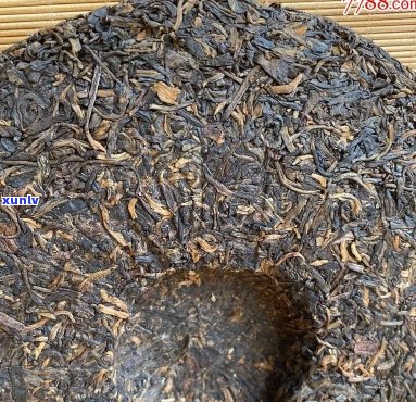 92年普洱茶好不好