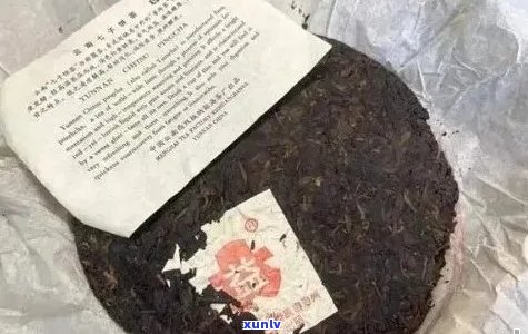 92年珍藏普洱：时间见证的经典口感与香气