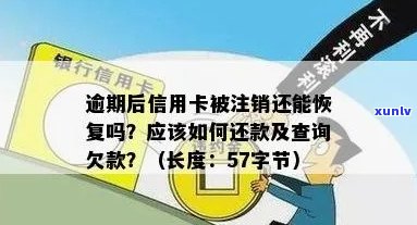 新信用卡逾期未还款被注销后如何查询欠款金额及解决方案全解析