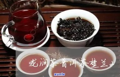 龙润茶的楚兰系列品质如何？口感、功效及适合人群一览无余