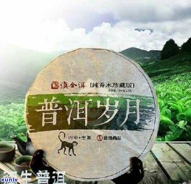 祺丰源普洱茶月月福：年份精选，古树茶香，品鉴宴，中秋限定