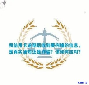 信用卡逾期后被警方拘留？邮件真实性揭秘及相关建议