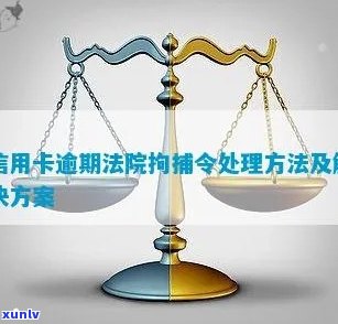 信用卡欠款被拘留通知后的法律救济与解决策略