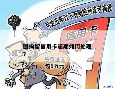 信用卡逾期导致被拘留，接下来该怎么办？